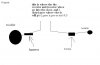 component wiring diagram original.JPG